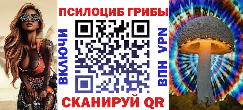 закладка  Шацк  Галлюциногенные грибы Magic Shrooms 